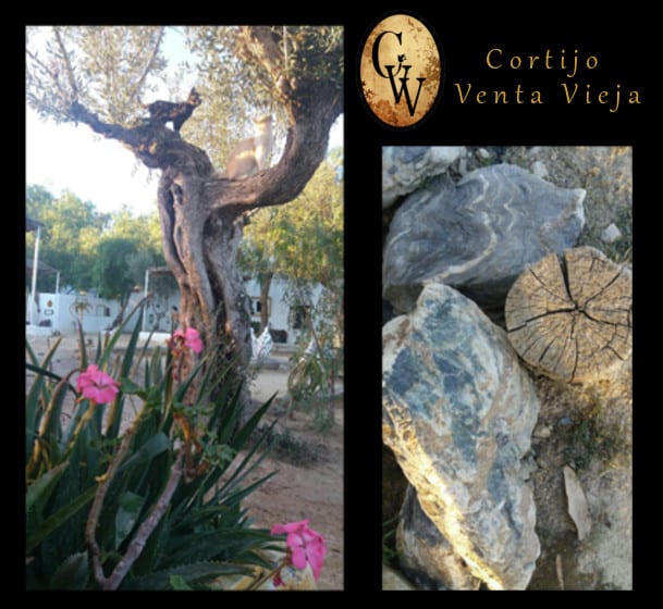 Decoración floral natural en Cortijo Venta Vieja